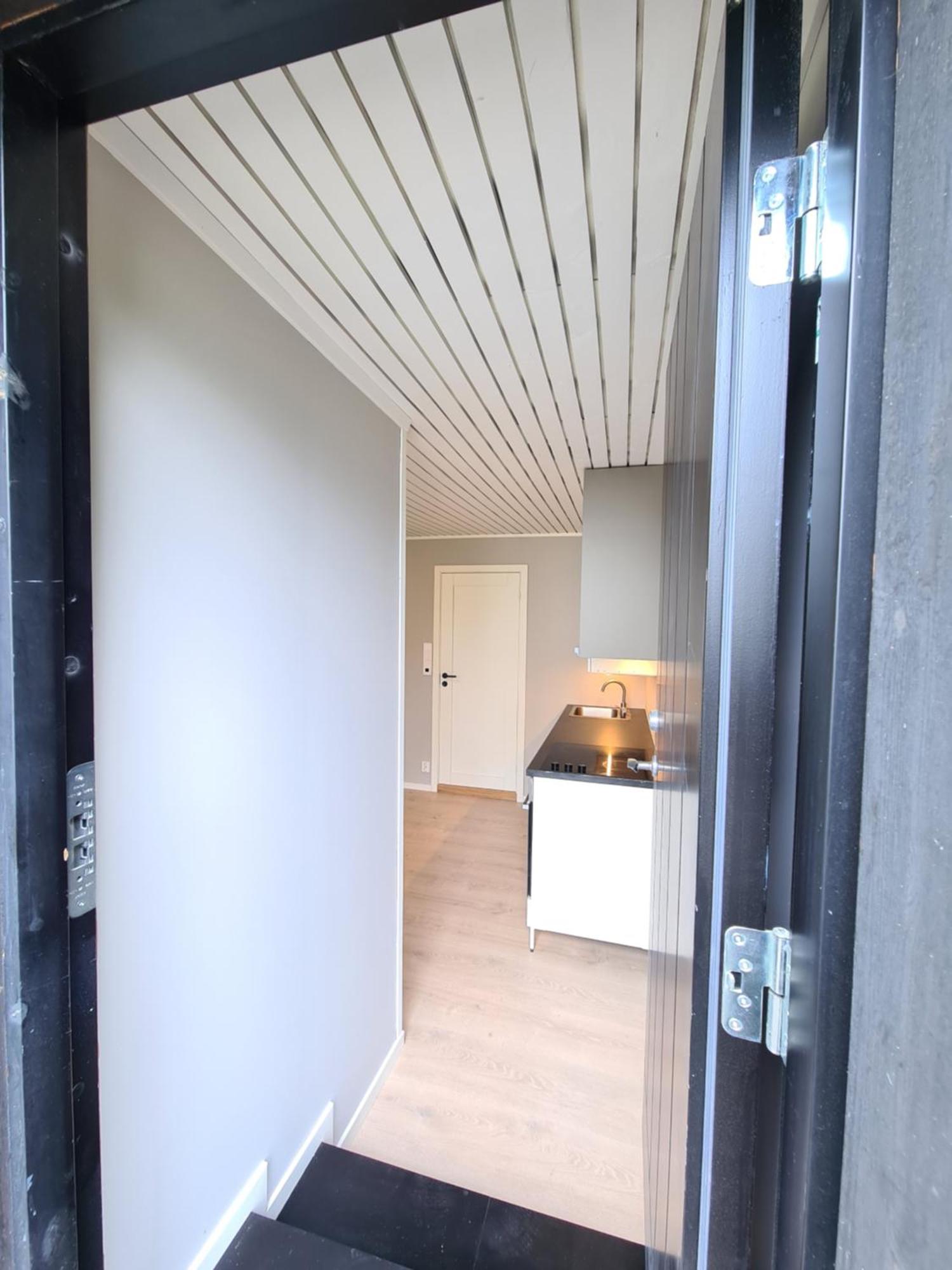 Dt Serene -